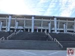 IMG_3461 (Copy)