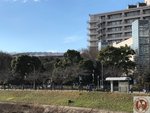IMG_3430 (Copy)