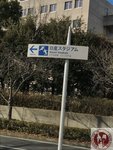 IMG_3435 (Copy)