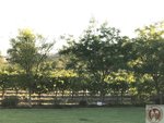 IMG_0232 (Copy)