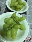 IMG_0770 (Copy)