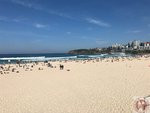 IMG_1137 (Copy)