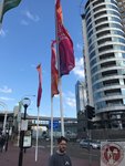 IMG_1013 (Copy)
