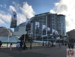 IMG_1029 (Copy)