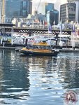 IMG_1074 (Copy)