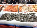 IMG_8976 (Copy)