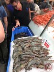 IMG_8995 (Copy)