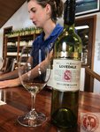 IMG_9570 (Copy)