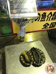 IMG_2530 (Copy)