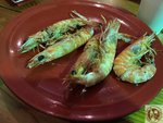 IMG_2550 (Copy)