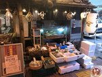 IMG_4635 (Copy)