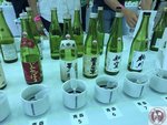 IMG_4811 (Copy)