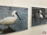 IMG_0245