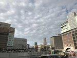 IMG_0920