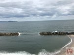 IMG_0315