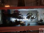 IMG_1019