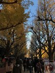 IMG_4709 (Copy)
