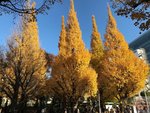 IMG_4714 (Copy)