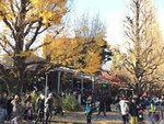 IMG_4716 (Copy)