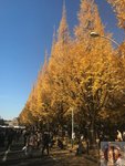 IMG_4723 (Copy)