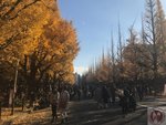 IMG_4725 (Copy)