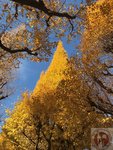 IMG_4735 (Copy)