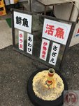 IMG_3990 (Copy)