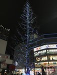 IMG_4227 (Copy)