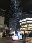 IMG_4228 (Copy)