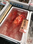 IMG_4198 (Copy)