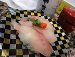 IMG_2572