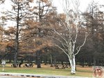 IMG_2030