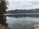 IMG_2156