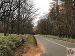 IMG_2026