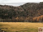 IMG_2028