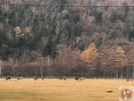 IMG_2029