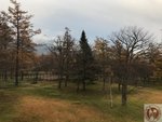 IMG_2004