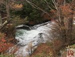 IMG_2100