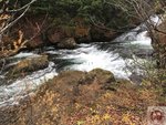 IMG_2102