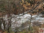 IMG_2104