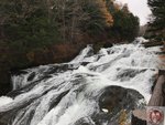 IMG_2110