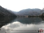 IMG_1941