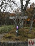 IMG_1946