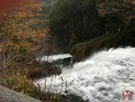 IMG_1950