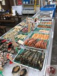 IMG_2511