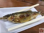 IMG_2520