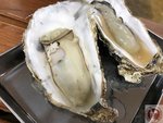 IMG_2523