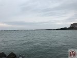 IMG_2236
