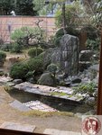 IMG_4799 (Copy)