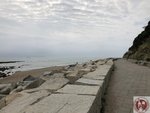 IMG_8917 (Copy)